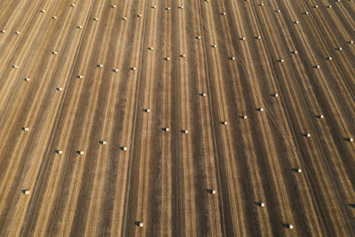 Aerial view of wheat field