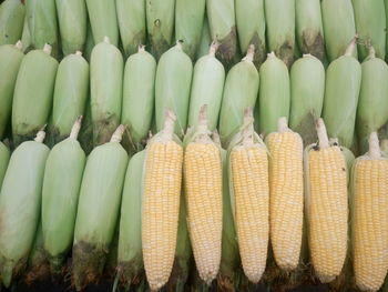 Directly above shot of corns for sale at market stall