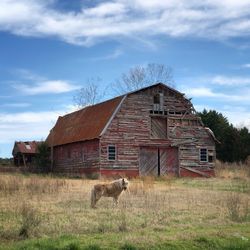 View of a house on a field