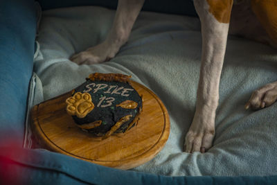 High angle view of dog sleeping on bed at home