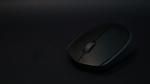 computer mouse