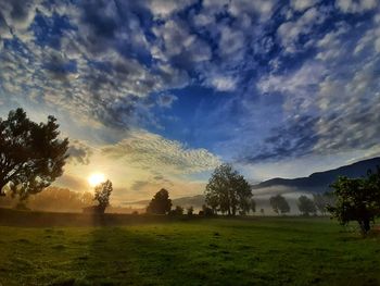 Trees on field against sky during sunset