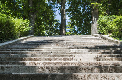 Low angle view of staircase in forest