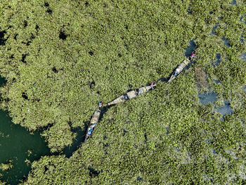 High angle view of footprints on sand