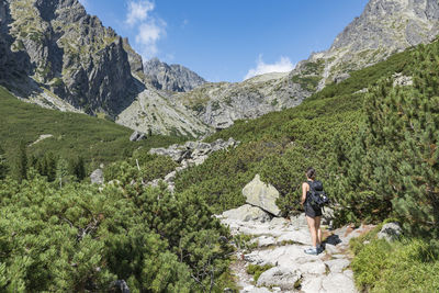 Rear view of person on mountain against sky