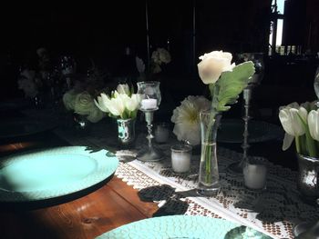 Potted plants in the garden