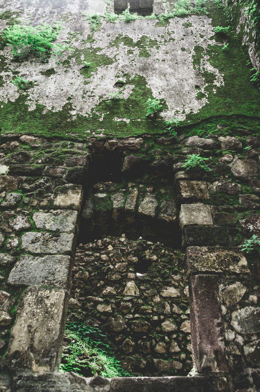 OLD STONE WALL WITH MOSS GROWING IN GARDEN