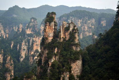 Panoramic view of trees and mountains