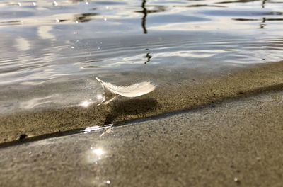 High angle view of puddle on beach