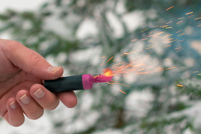 Close-up of hand holding plant