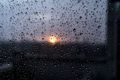 Close-up of water drops on white background