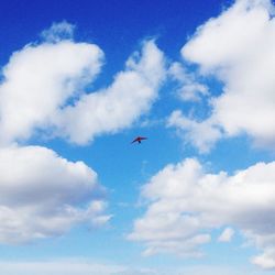 Low angle view of airplane flying in sky