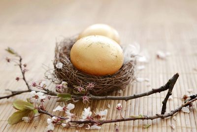 Close-up of egg in a birds nest