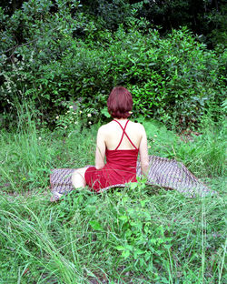 Rear view of woman sitting on field