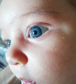 Close-up portrait of cute baby