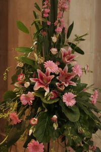 Close-up of pink flowers