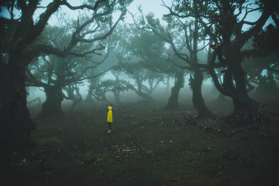 Side view of person wearing yellow jacket standing in forest during foggy weather