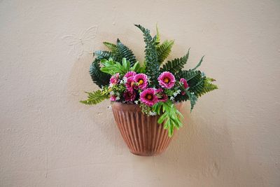 Close-up of potted plant against wall