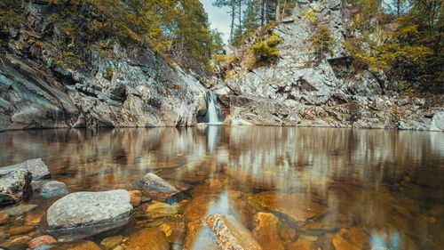 Reflection of trees in water