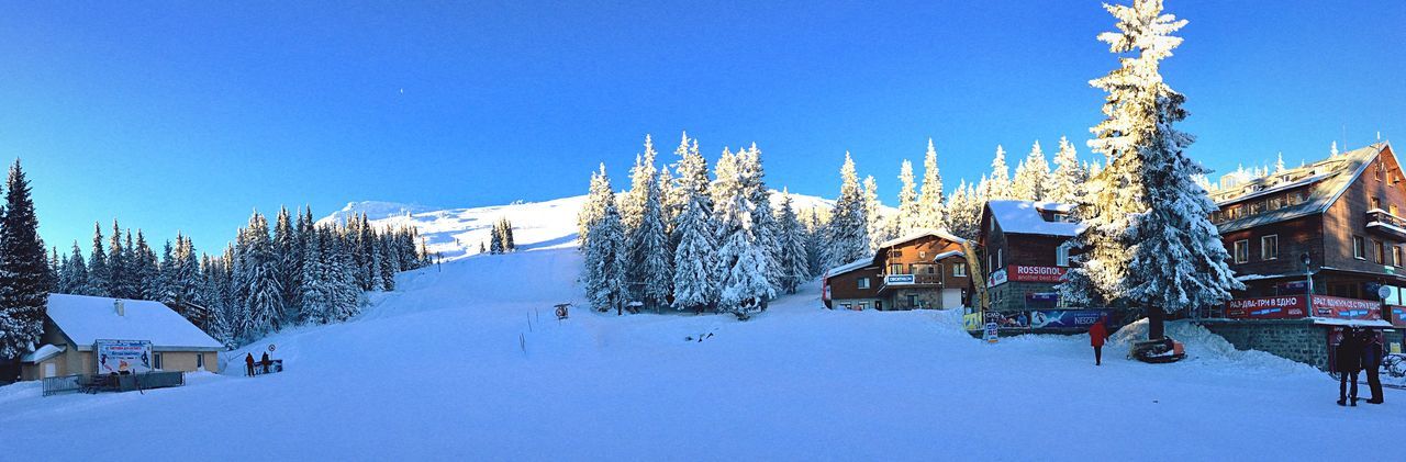 cold temperature, winter, tree, snow, nature, built structure, beauty in nature, no people, sky, day, outdoors, architecture