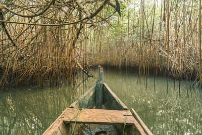 Scenic view of lake in forest