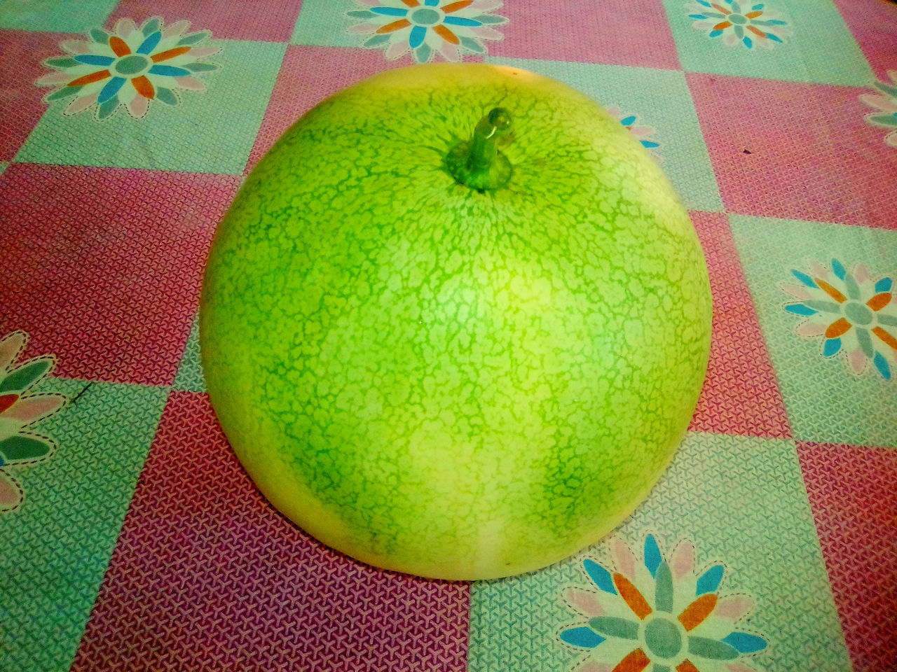 HIGH ANGLE VIEW OF APPLES ON GREEN TABLE