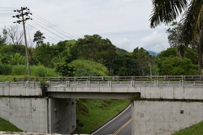 Bridge over trees against sky