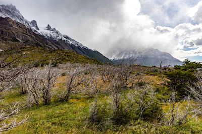 Scenic view of landscape and mountains against sky