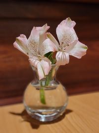 Close-up of white flower vase on table