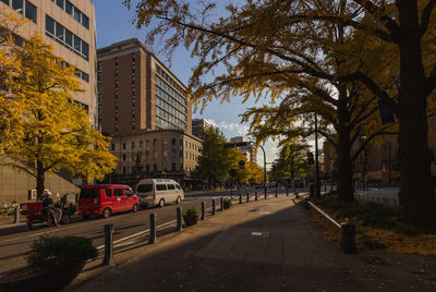 Road amidst trees and buildings in city during autumn