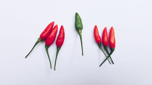 Close-up of red chili pepper against white background