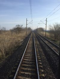 Railroad tracks along trees