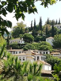 Plants and trees by building against sky