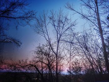 Silhouette trees against sky during sunset