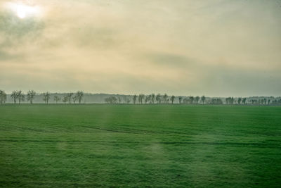 Scenic view of field against sky