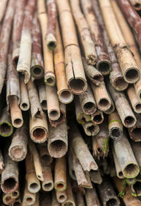 Full frame shot of bamboos