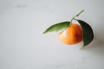 A single orange with leaves on a marble countertop