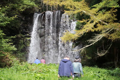 Rear view of waterfall amidst plants