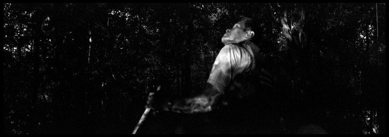 Rear view of woman standing against tree