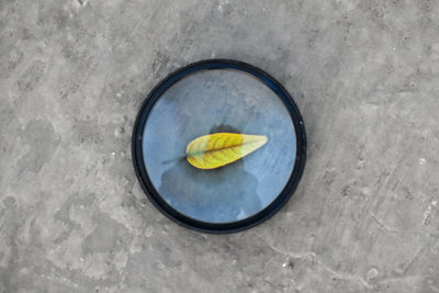 High angle view of yellow flower on snow