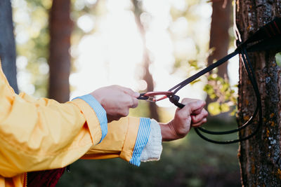 Midsection of woman tying hammock on tree trunk in forest