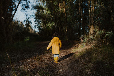 Rear view of girl walking on trail in forest