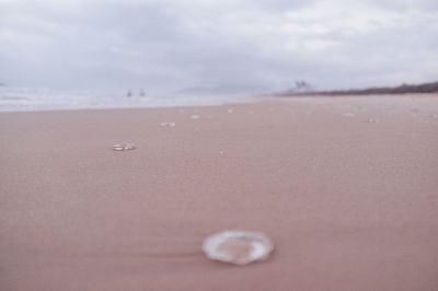 Surface level of sandy beach against sky