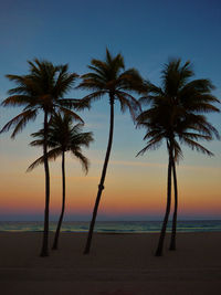 Palm trees on beach against sky during sunset