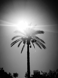 Low angle view of silhouette palm tree against sky on sunny day
