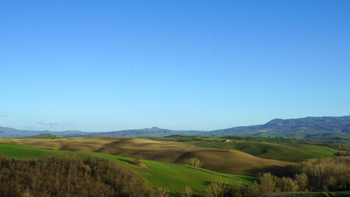 Scenic view of landscape against clear blue sky