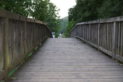 Empty footbridge along trees