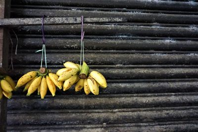 Bananas hanging against shutter in market for sale