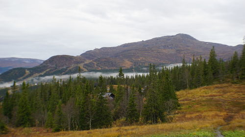 Scenic view of trees and mountains against sky