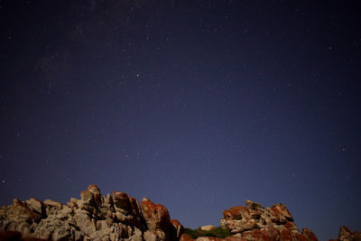 Low angle view of star field against sky at night